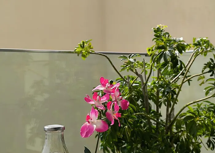 Avanti Chania Luxury Apartment